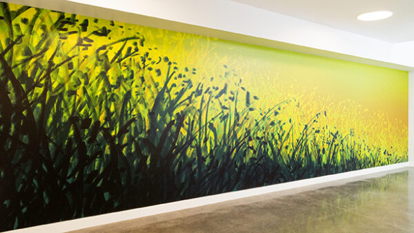 An installation image of Julie DeVries's “Memory Drawing: Grasses in Shadow."