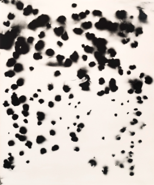 A photograph featuring random black dots and smears on a white paper.