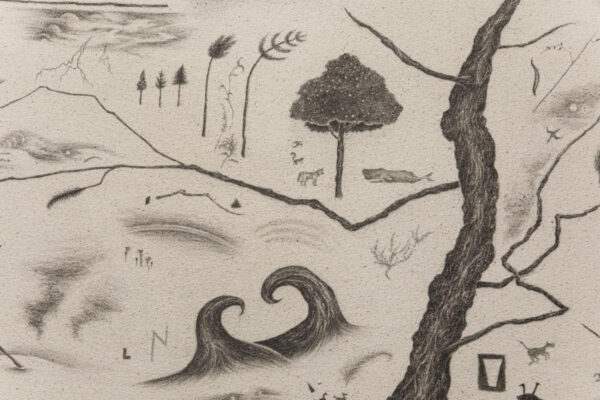 A drawing by Robyn O'Neil of natural items like trees, animals, lightening, and waves.