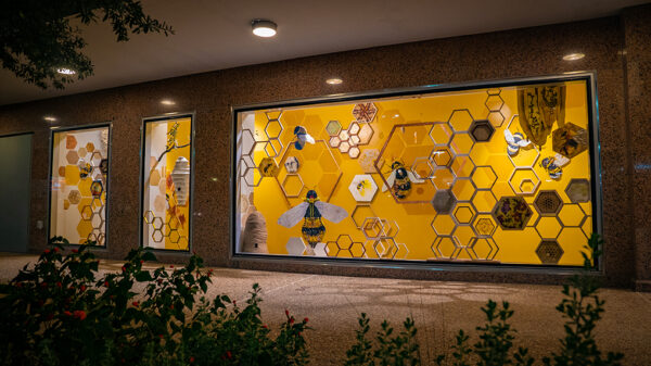 A photograph of a street-facing window installation which includes various-sized bees and references to hives.