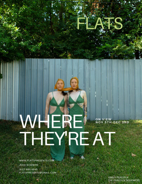 A graphic designed to promote the exhibition "Where They're At," on view at FLATS. The poster includes an image of two women wearing green dresses and standing outdoors in front of a metal fence. The women are connected because they each have one leg of the same pair of stockings over their heads.