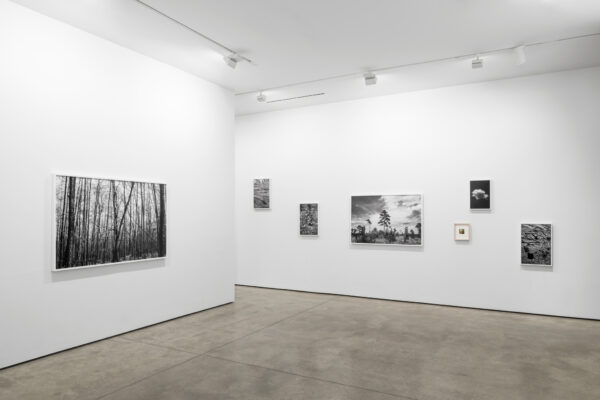 Installation view of photos on a white wall