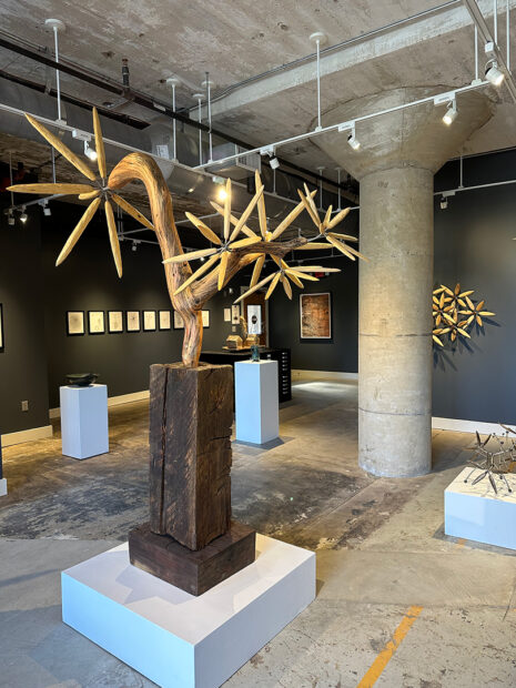 An installation image of sculptures and drawings by James Surls in a small gray-walled gallery.