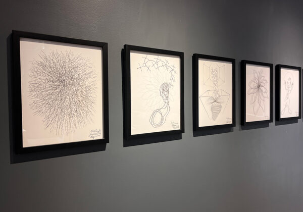 A photograph of a handful of framed drawings by James Surls hanging on a gray gallery wall.