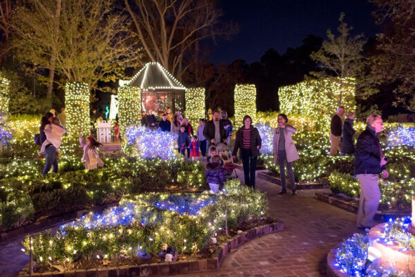 A nighttime photograph of visitors walking among a garden area lit with Christmas lights.