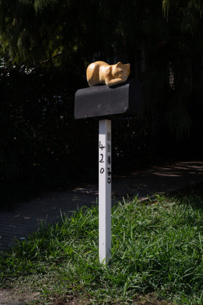 A mailbox ornament of a cat