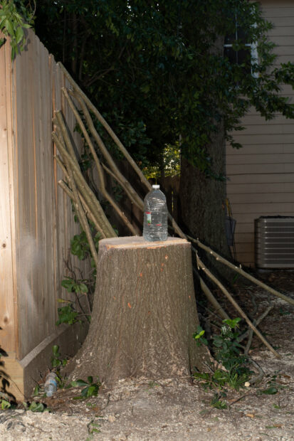 A water bottle on top of a tree stump