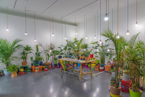 A photograph of an installation of several large plants with bright lights hanging from the ceiling.