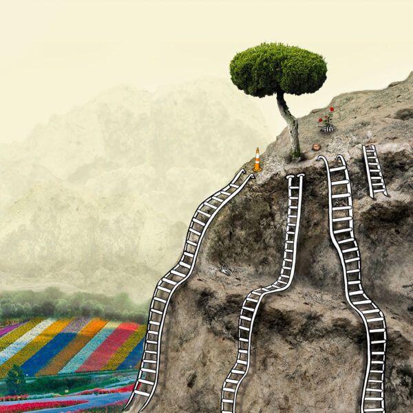 A mixed media collage work by Caroline Walker that features a realistic tree at the top of a large mountain. Cartoon-like ladders extend from the top of the mountain to its base.