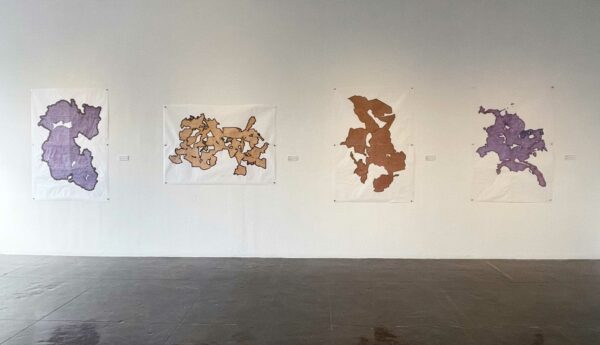 Four works on paper of abstract forms in different colors on a wall