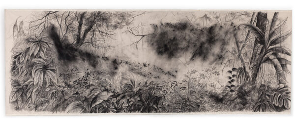 A charcoal drawing of a wild landscape with an array of foliage.
