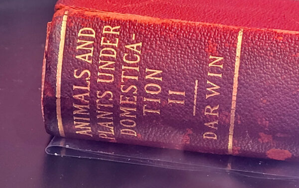 Detail image of the spine of a book