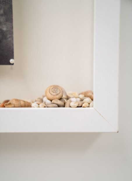 Detail of seashells in a corner of a frame