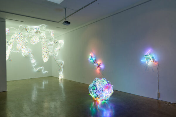 Installation view of LED lit 3d printed sculptures