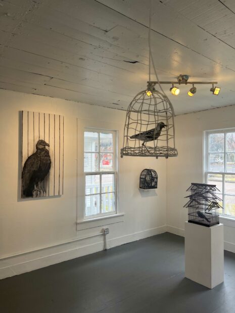 Installation view of birds in cages and bird paintings