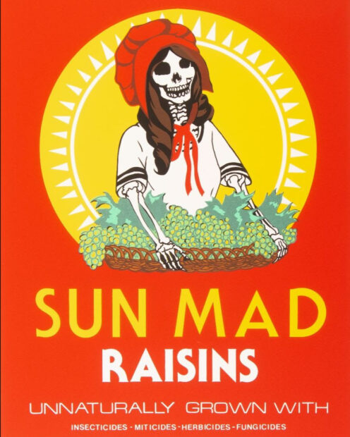 A print by Ester Hernandez that is made to resemble the Sun Maid Raisins container with text and imagery that relates to the pesticides used in raisin production. 