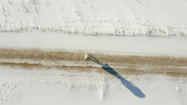 A detail from a video by Gretchen Marie Schaefer. The image is an aerial shot of a person walking down a dirt road with a long shadow.