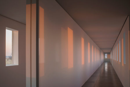 A photograph of pink sunlight shining through windows onto a white wall.
