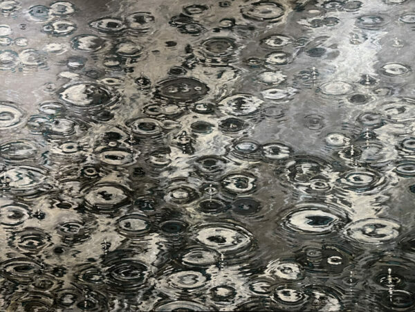 A painting by Paul Manes of a close-up look at raindrops on a body of water.