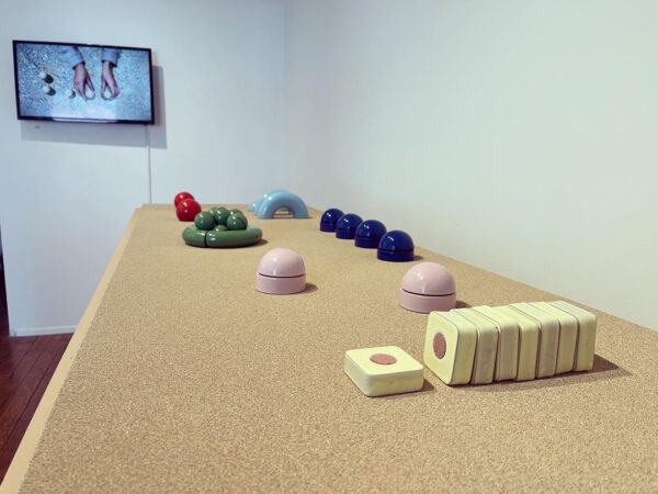 A photograph of an installation of small ceramic pieces by Sasha Alexandra.