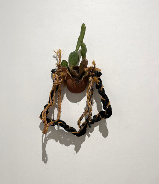 Sobre una pared blanca cuelga una maceta abierta con un cactus de la que sale una cuerda color negro y beige.