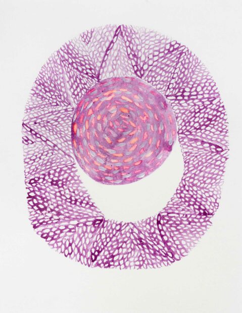 Round pink cochineal drawing