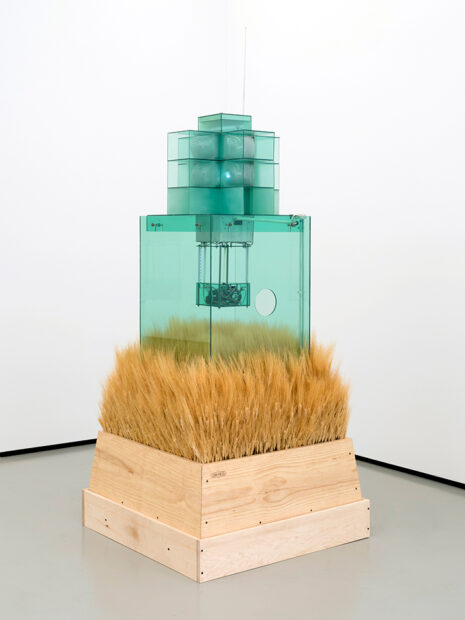 A photograph of a sculpture by Carl Cheng of plastic box on top of a bundle of wheat.