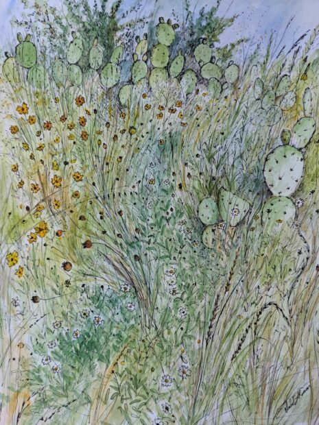 Watercolor and ink drawing of a field of cactus and high grasses