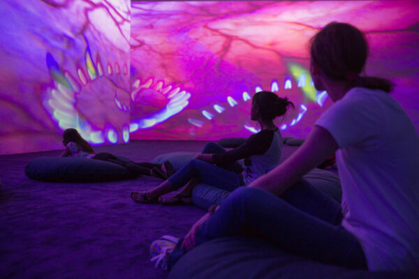 People sitting on floor cushions in a video installation