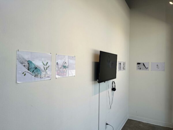 Installation view of a flatscreen surrounded by two dimensional works in a horizontal line