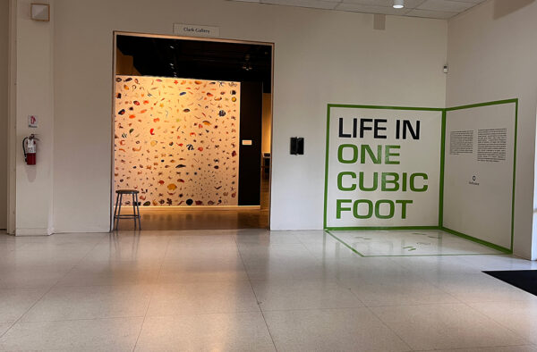 A photograph of the entry text of the exhibition "Life in One Cubic Foot" at the International Museum of Art and Science.