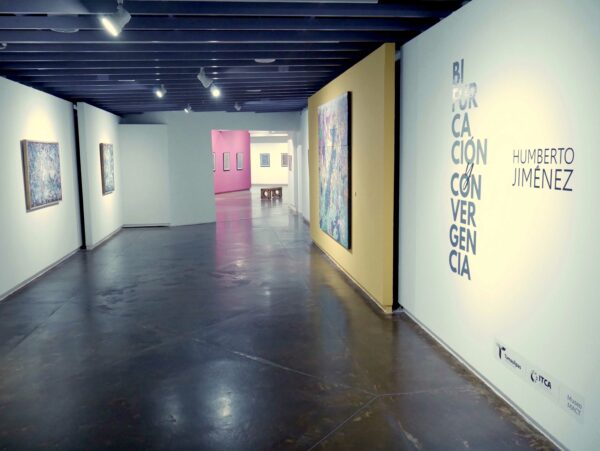 Installation view of 2 dimensional images hanging in a museum