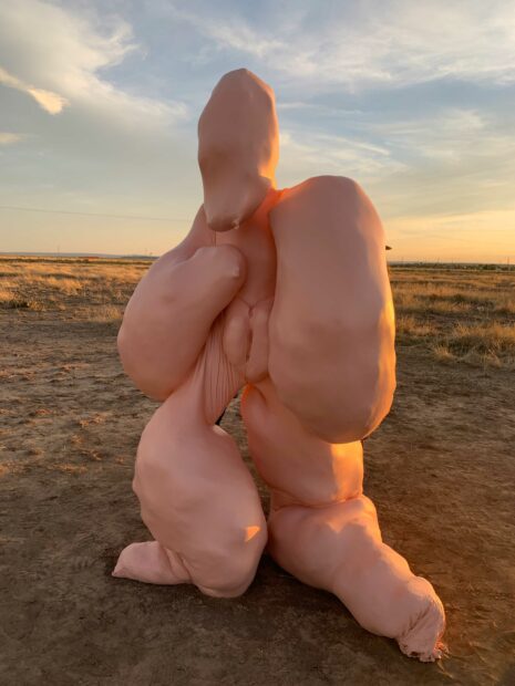 A large, fleshy-looking sculpture stands in the middle of a desert landscape.