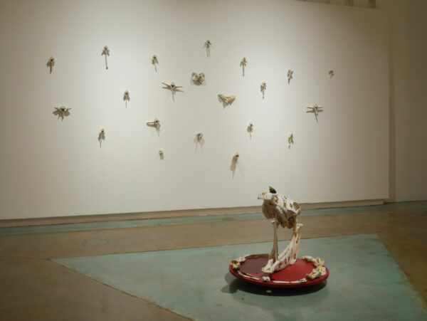 Installation view of animal bones on a wall and on the floor