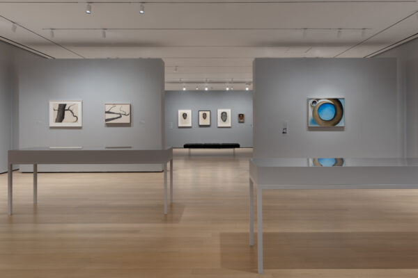 Installation view of works in a gallery on gray walls