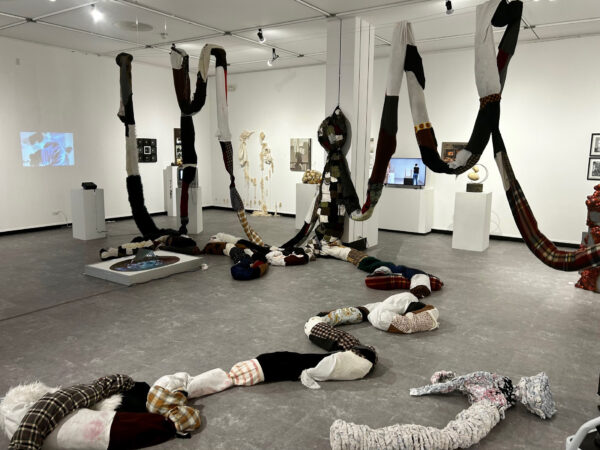 Installation of large fabric sculptures hanging from the beams, on the floor and sculptures on pedestals