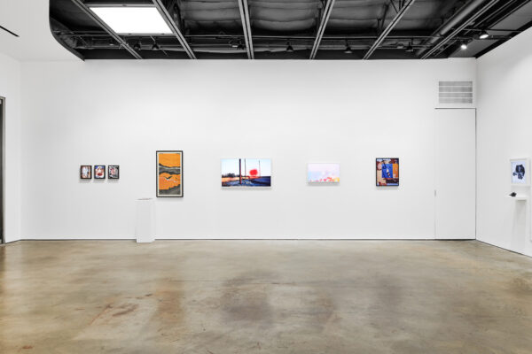 Installation view of "Collecting the Future"
