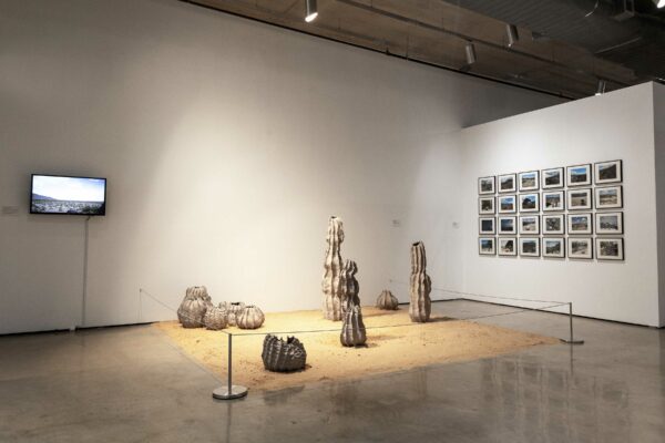 Installation view of clay cactus shapes