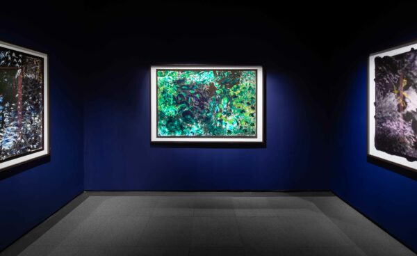 Installation view of colorful photos on a dark blue wall