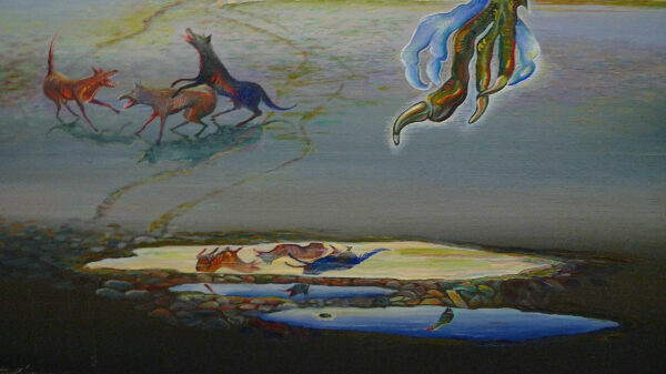 Detail of the reflection of a rooster feet and dogs chasing each other in a puddle