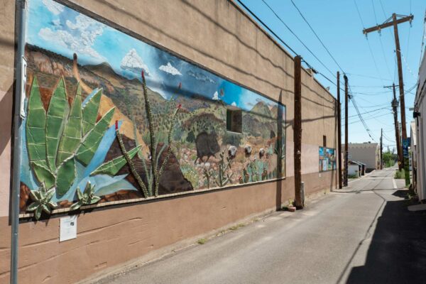 Photo of a mural of a west Texas Landscape