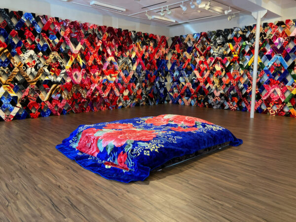 Antonio Lechuga, "Structures of Softness," Installation view, at the Oak Cliff Cultural Center
