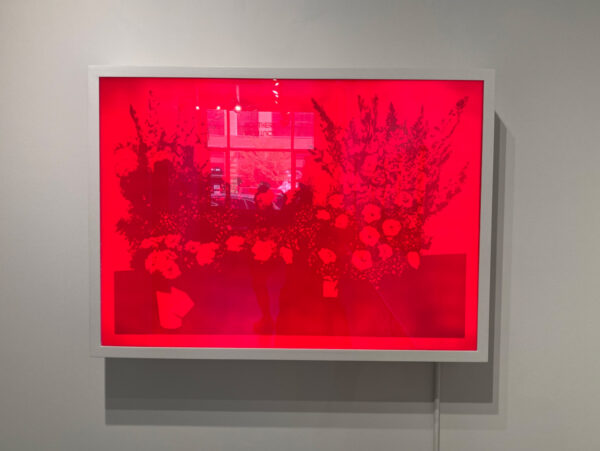 Logan Larsen, “The Flower Fund - Rubylith,” 2023, Rubylith Film with Lightbox