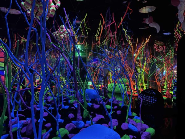 Installation view of a flourescent forest