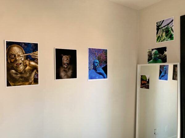 A suite of multiple photographs installed in a bedroom, hun on the wall and above a mirror.