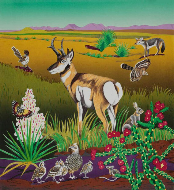 A lithographic print by Billy Hassell featuring a pronghorn and other Texas wildlife.