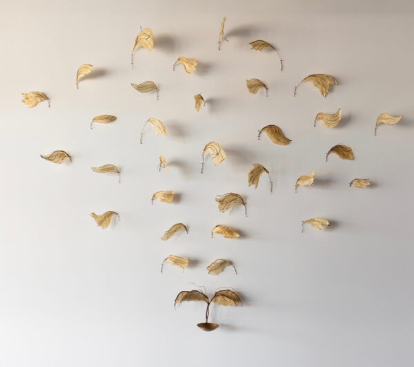 A photograph of an installation of an array of leaf-like objects hung on a white wall.