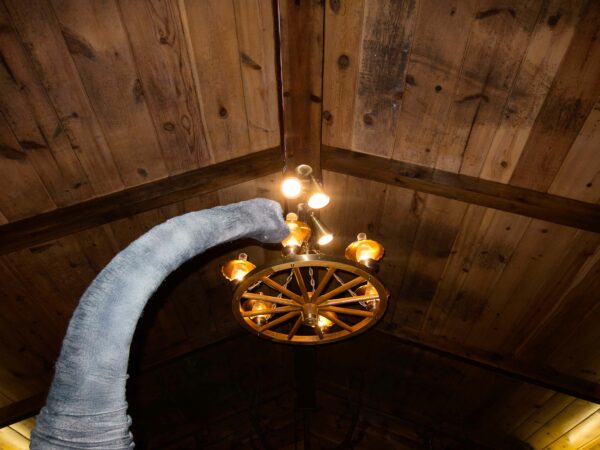 Photo of an elephant trunk in a ceiling light fixture