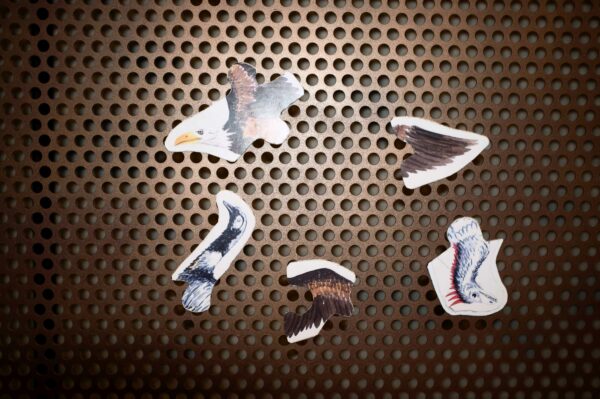 Paper pieces of birds