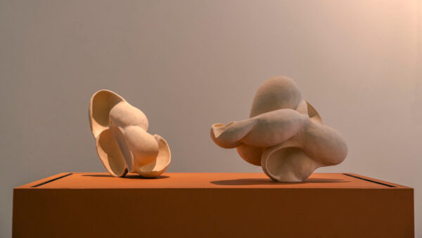 Two organically shaped ceramic vessels on a pedestal